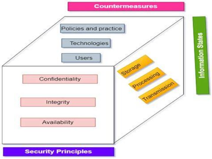 A Comprehensive Analysis Of 