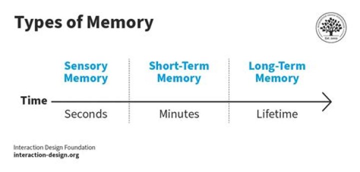 A Journey Into Identity, Memory, And The
