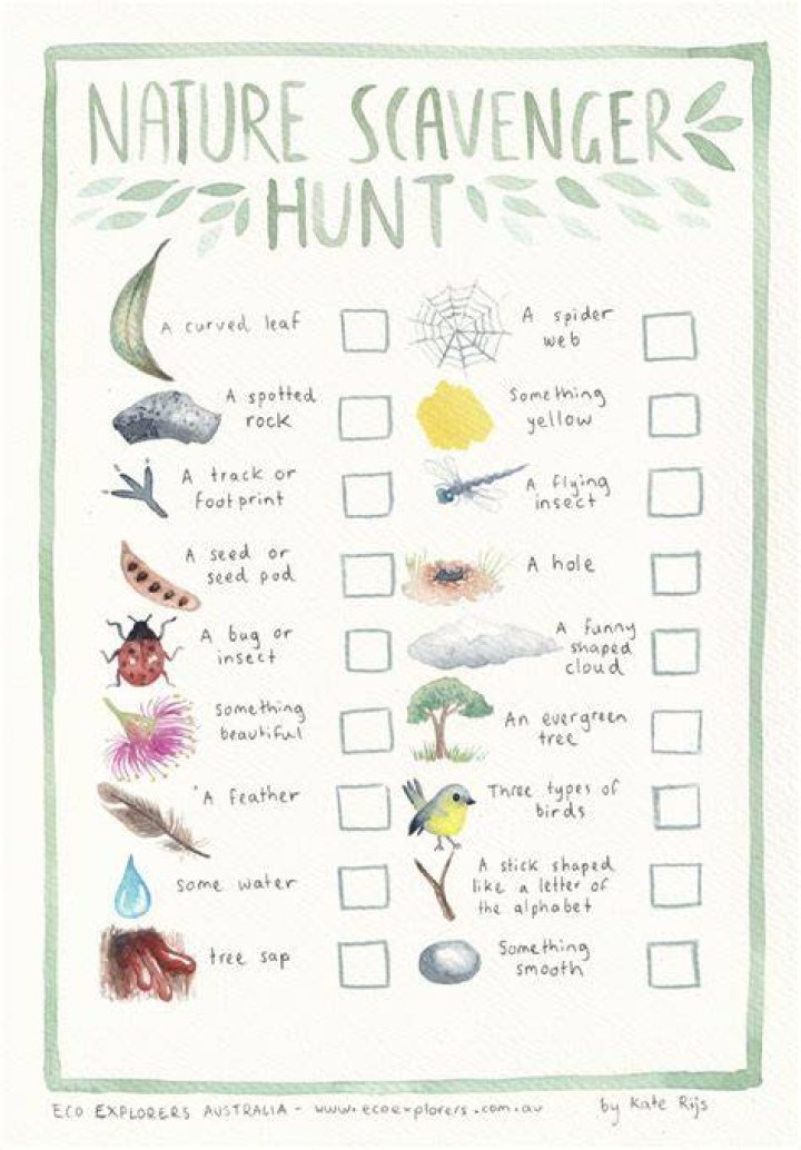 A Nature-Inspired Journey For Kids