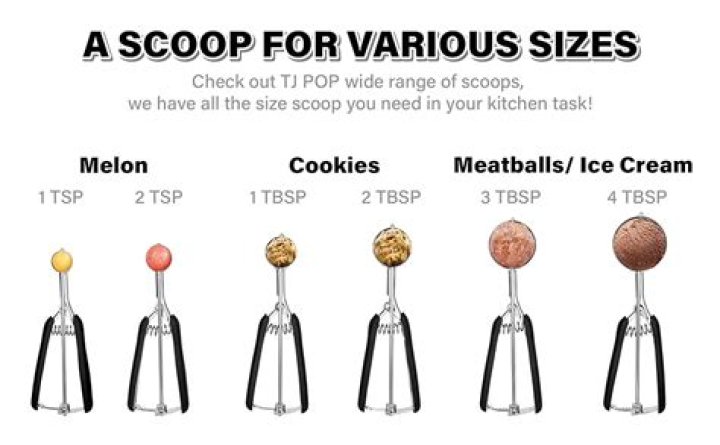 BlinkDash | Scoop