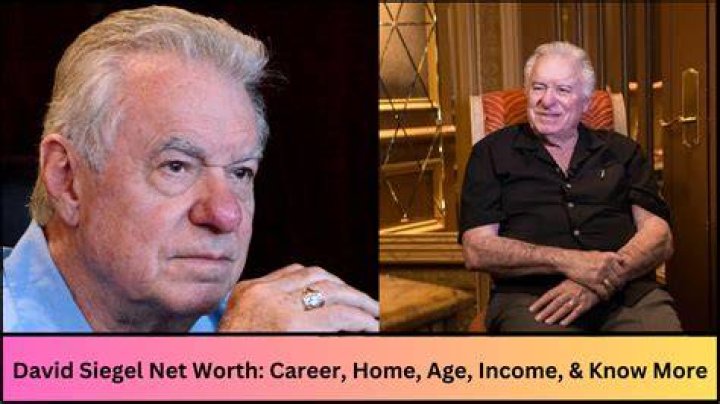 David Siegel Net Worth, Income, Salary, Earnings, Biography
