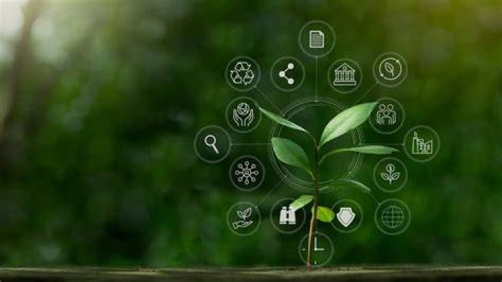Discoveries And Insights Into A Legacy Of Sustainability And Impact