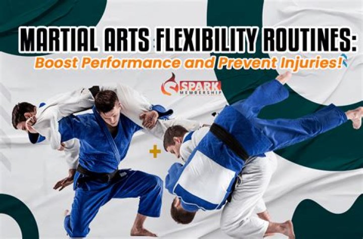 Faith, Resilience, And Triumph In Martial Arts