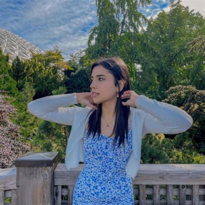 Gal Akbari Net Worth 2024