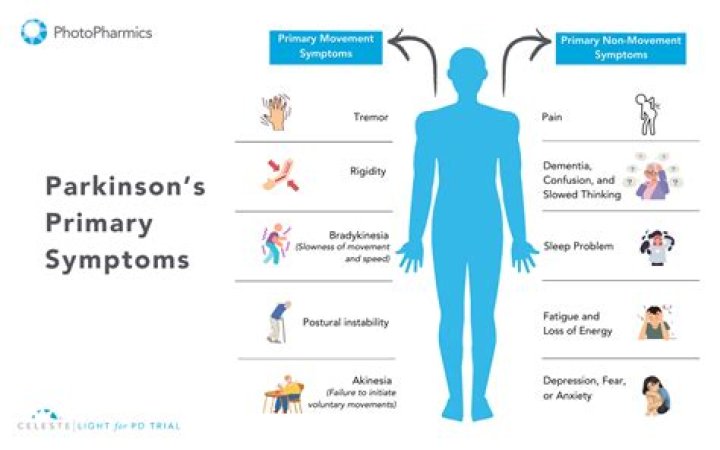 Gary Bettman's Health: Unraveling The Truth About Parkinson's Speculation