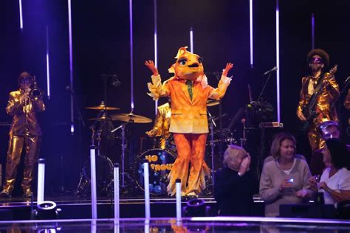 Hawk on Season 10 of 'The Masked Singer' Revealed as This 'Teen Wolf' Star |