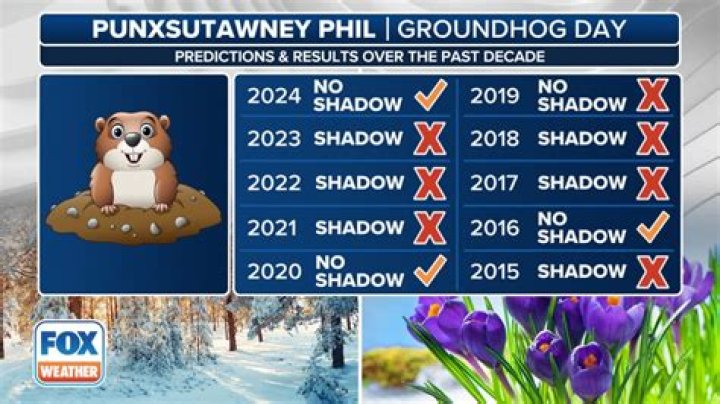 How Accurate Are Punxsutawney Phil's Groundhog Day Predictions? |