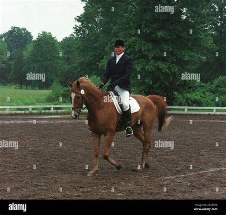 How Christopher Reeve's Horse Accident Led To Paralysis And Inspired A Family's