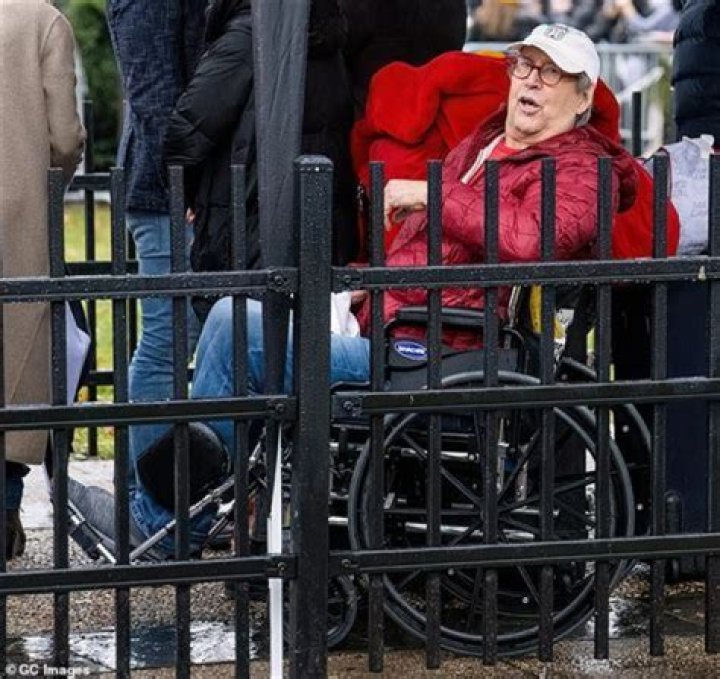 Is Sylvester Stallone In A Wheelchair? Unraveling The Truth