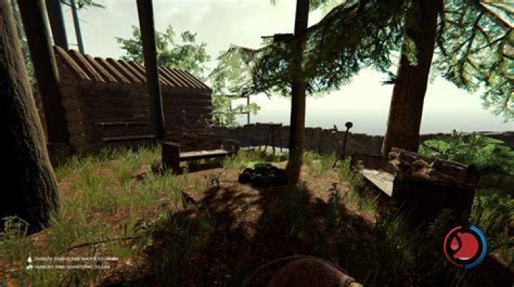 Is The Forest ever coming to Xbox?