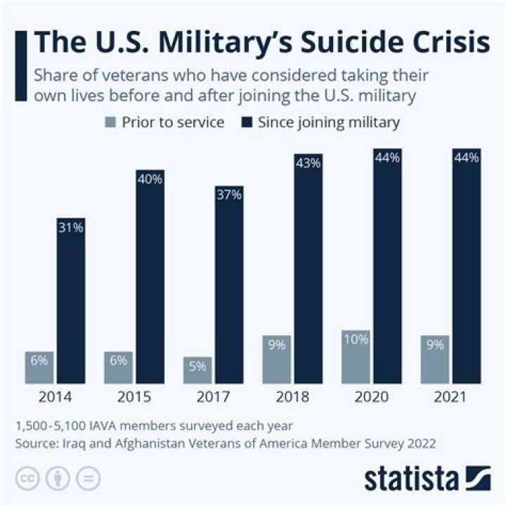 Is There A 'False Narrative' For Vet Suicide? |