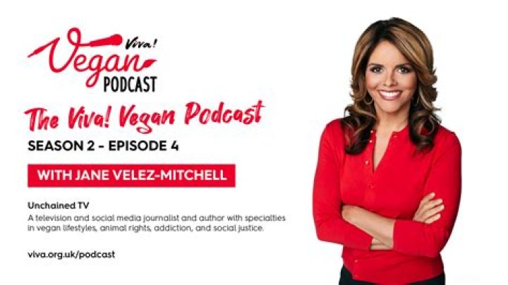 Jane Velez-Mitchell Bio, Wiki, Age, Family, Lesbian, KCAL-Tv and Net Worth ·