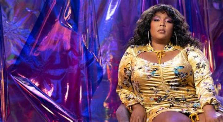 Lizzo Lawsuit WikiLeaks And The Music Industry's Copyright Battle