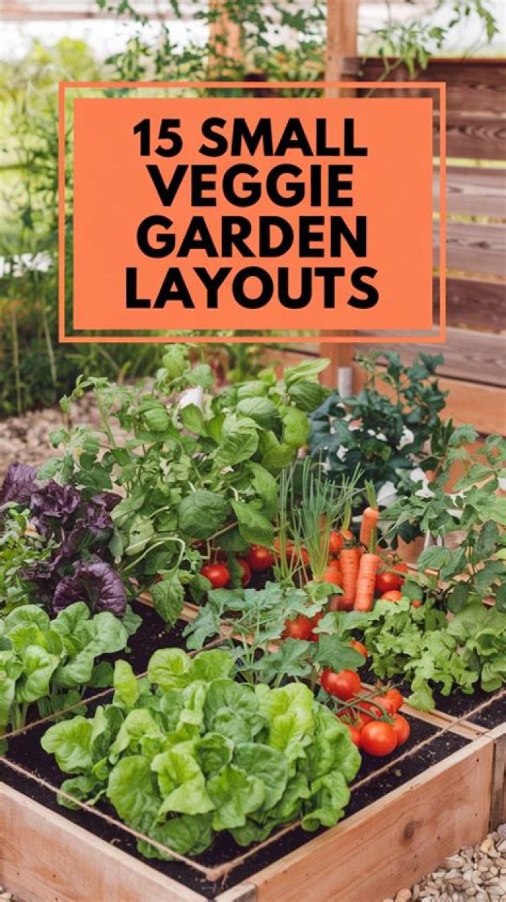 Maximize Yield In Small Gardens