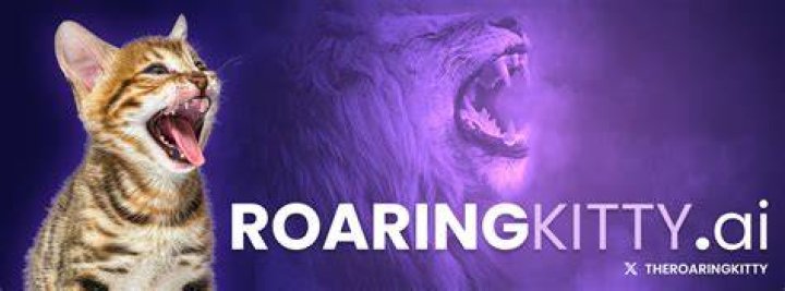 Roaring Kitty Biography Real Name Keith Patrick Gill