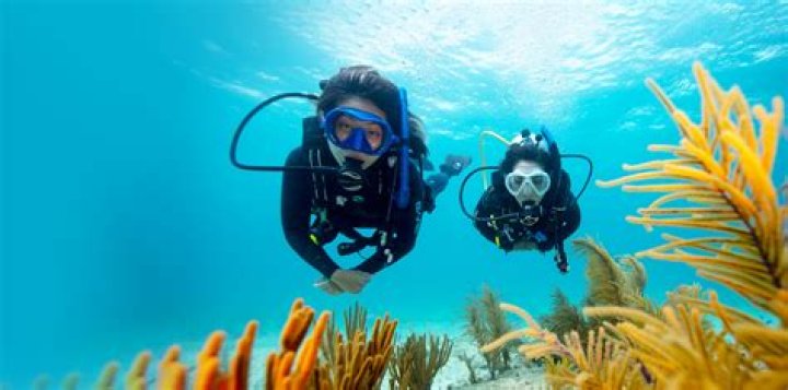 Scuba Diving With Steph: An Underwater Adventure