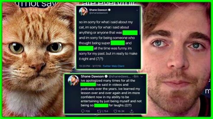Shane Dawson Cat Video Leaked Animal Abuse