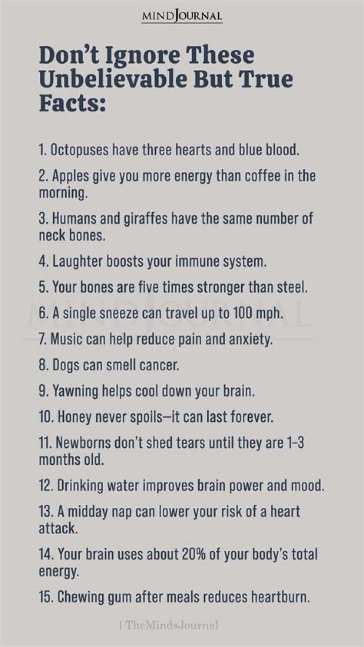 Surprising Facts And Untold Truths