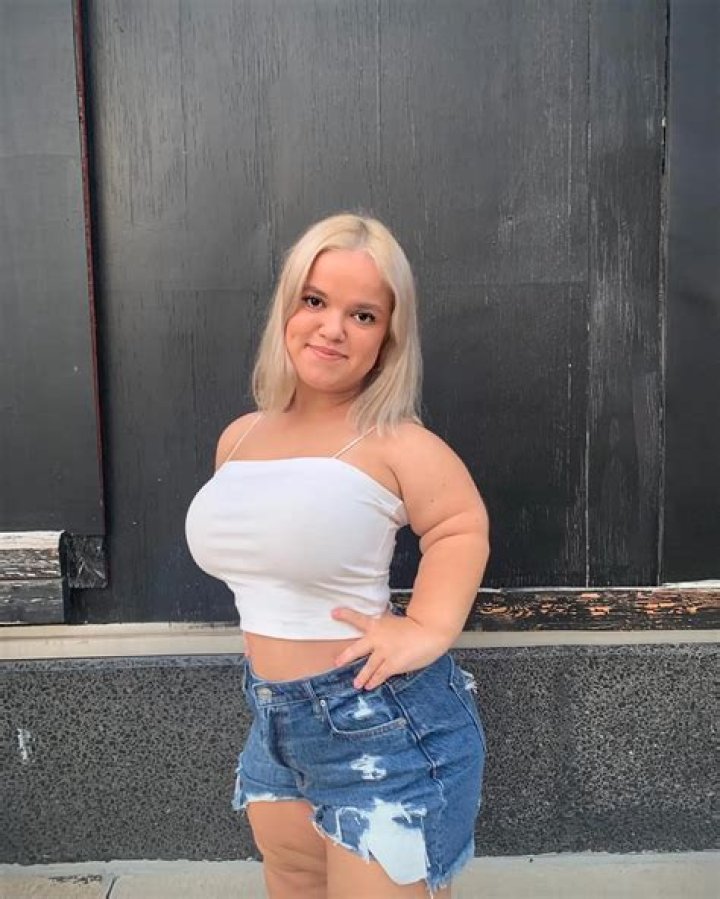 The 