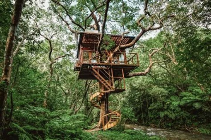 The Enchanting Haven Treehouses Through Captivating Photos
