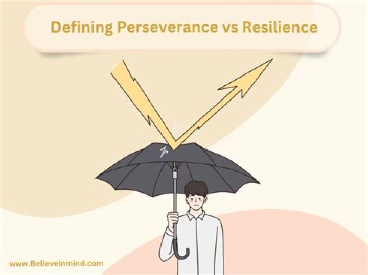The Epitome Of Perseverance And Resilience