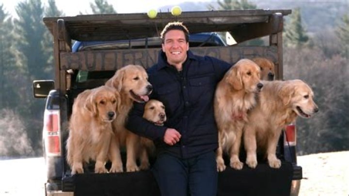 Uncover The Hidden Gems Of Golden Dog Farm: A Journey Of Discovery