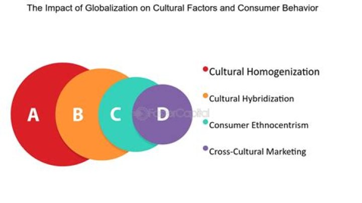 Uncovering Cultural Impact And Marketing Strategies
