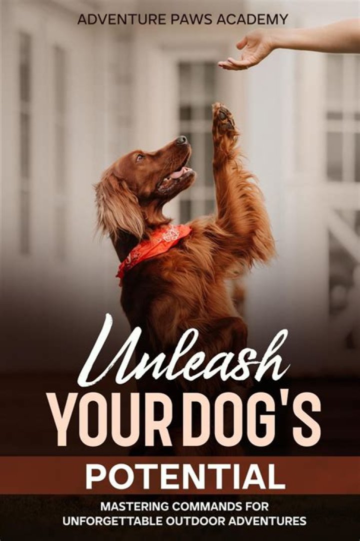 Unleash Your Dog's True Potential