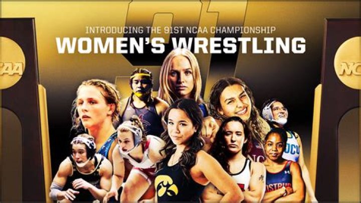 Unlocking The World Of Pro Wrestling And Beyond