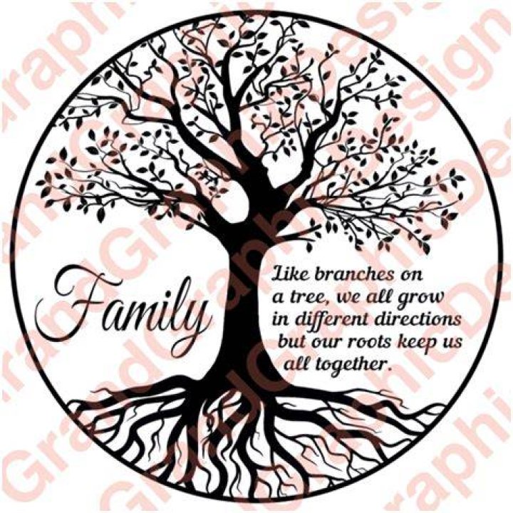Unveiling Mihir Ahuja's Family Roots And Personal Journey