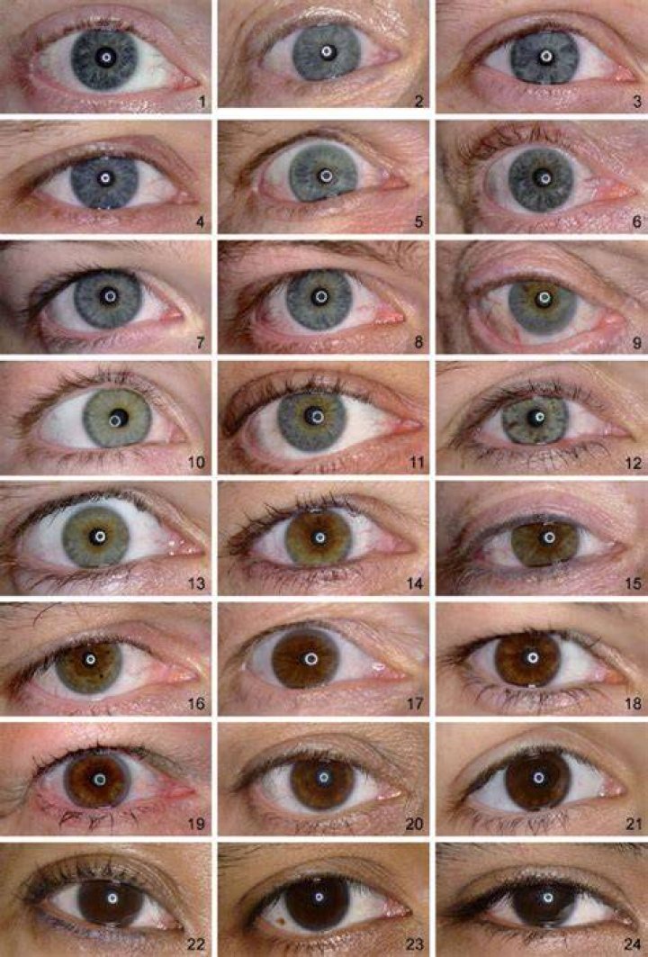 Unveiling The Enchanting Spectrum Of Irish Eye Color: A Guide To Its