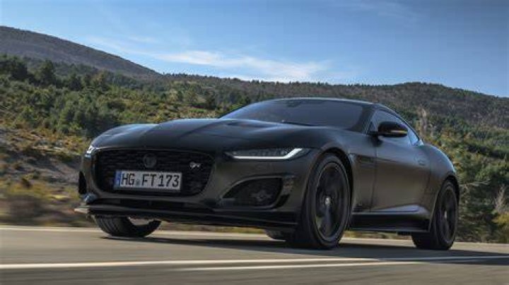Unveiling The Enigmatic Black Jaguar: Discoveries And Insights