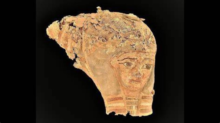 Unveiling The Hidden World Of Rose Brides: Discoveries And Insights