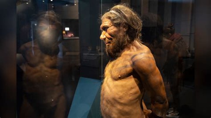 Unveiling The Intriguing Height Of Michael Reeves: Discoveries And Insights