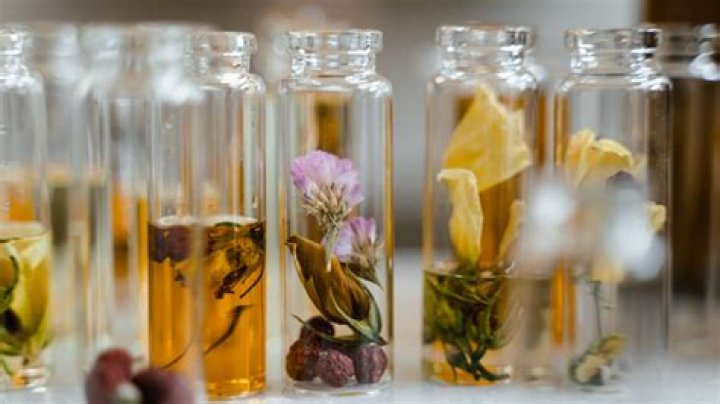 Unveiling The Secrets Of Tippling: Insights And Discoveries