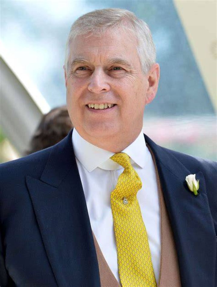 VivaVibe | Andrew Francis