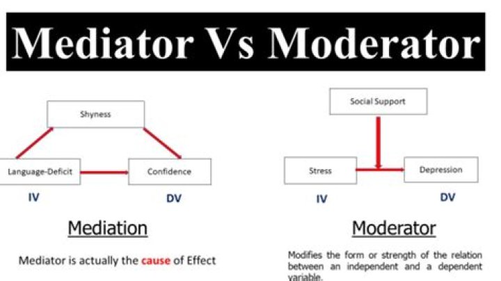 What Are Moderators On Tiktok