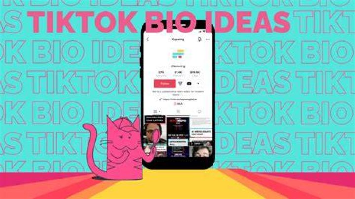 What Does DMV Mean on TikTok Bio?