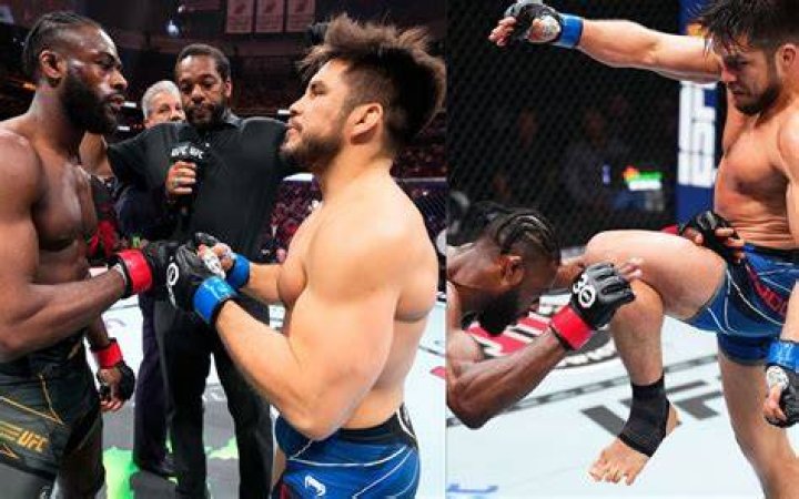 Who Is Derek Cleary The UFC Judge?