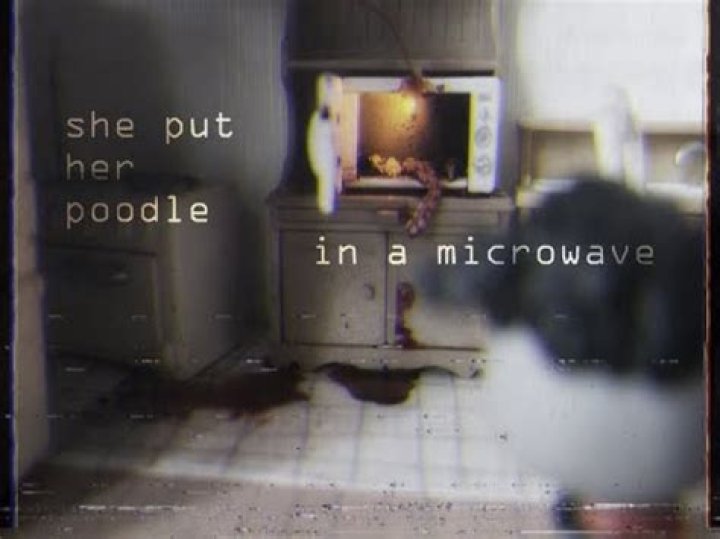 Woman Puts Poodle Into Microwave, Resulting In Devastating Consequences