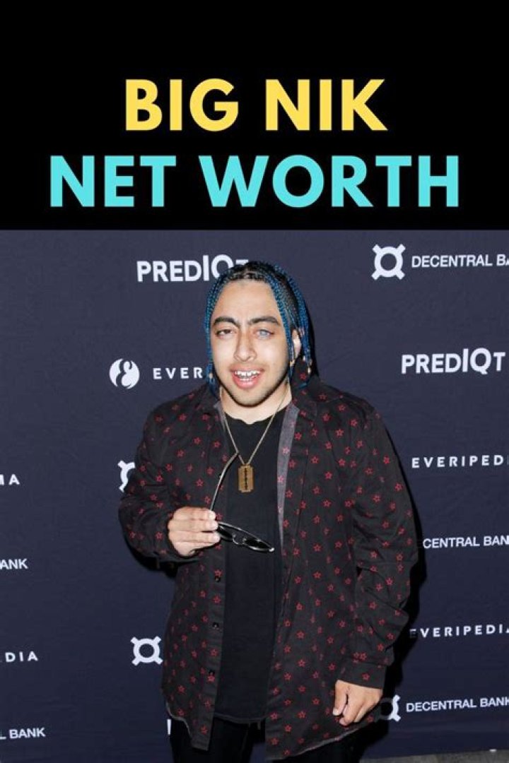 ZingX | Big Nik Net Worth
